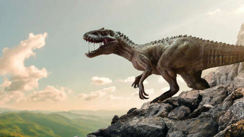 Un enorme dinosauro che si erge tra massi grigi e antiche formazioni rocciose in... 4K (Ultra HD)